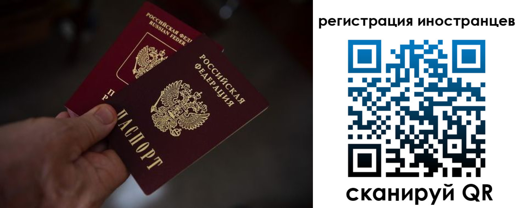 временная регистрация 2025 в Новозыбкове